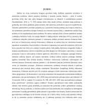 Karjeros specialisto vaidmuo teikiant karjeros paslaugas bendrojo ugdymo mokykloje 2 puslapis