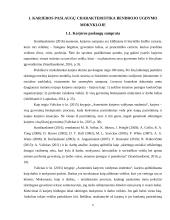 Karjeros specialisto vaidmuo teikiant karjeros paslaugas bendrojo ugdymo mokykloje 4 puslapis