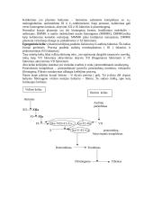Kraujo plazmos krešėjimo faktoriai ir jų pokyčiai 3 puslapis
