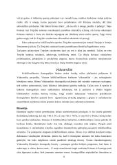 Krikščioniškasis menas 8 puslapis