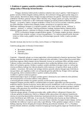 Civilizacijos kultūros istorija 2 puslapis