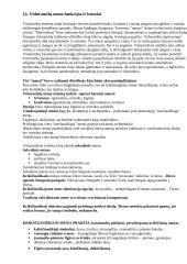 Civilizacijos kultūros istorija 14 puslapis