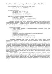 Civilizacijos kultūros istorija 4 puslapis