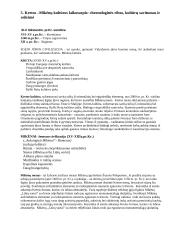 Civilizacijos kultūros istorija 5 puslapis