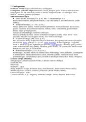 Civilizacijos kultūros istorija 7 puslapis