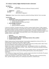 Civilizacijos kultūros istorija 10 puslapis