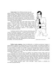 Kas tai - kūno kalba? 2 puslapis