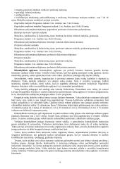 Latvijos švietimo sistema 4 puslapis