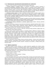 Latvijos švietimo sistema 5 puslapis