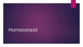 Skaidrės apie homeostazę 1 puslapis