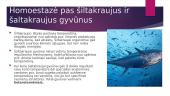 Skaidrės apie homeostazę 14 puslapis