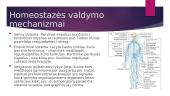 Skaidrės apie homeostazę 3 puslapis