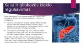 Skaidrės apie homeostazę 6 puslapis