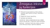Skaidrės apie homeostazę 9 puslapis