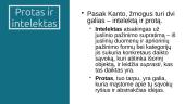 Pažinimo filosofija: Imanuelis Kantas 13 puslapis