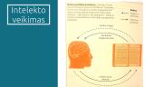 Pažinimo filosofija: Imanuelis Kantas 16 puslapis