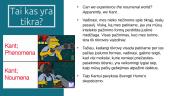 Pažinimo filosofija: Imanuelis Kantas 20 puslapis