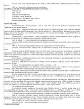 Lenkijos istorija 12 puslapis