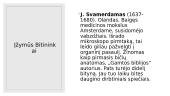 Bitininkystė. Skaidrės 7 puslapis