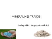Mineralinės trąšos (skaidrės) 1 puslapis