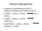 Mineralinės trąšos (skaidrės) 11 puslapis