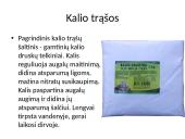 Mineralinės trąšos (skaidrės) 12 puslapis