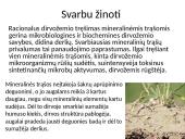 Mineralinės trąšos (skaidrės) 15 puslapis