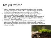 Mineralinės trąšos (skaidrės) 3 puslapis
