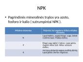 Mineralinės trąšos (skaidrės) 4 puslapis