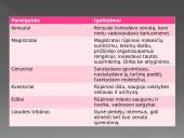Romos respublika (skaidrės) 7 puslapis
