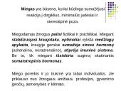 Miego gyvybinė veikla 2 puslapis