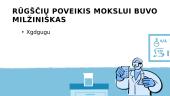 Rūgštys istorijoje: kaip jų atradimai pakeitė mokslą ir pramonę? 8 puslapis