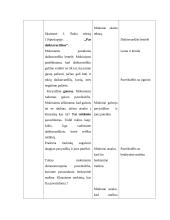 Lietuvių kalbos pamokos planas: daiktavardis 4 puslapis