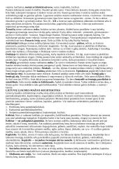 Lietuvių liaudies tautodailės medžiaga 2 puslapis