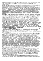 Lietuvių liaudies tautodailės medžiaga 3 puslapis