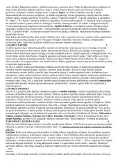 Lietuvių liaudies tautodailės medžiaga 4 puslapis