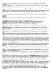 Lietuvių liaudies tautodailės medžiaga 5 puslapis