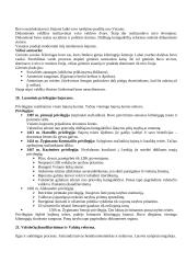 Lietuvos Didžiosios Kunigaikštystės (LDK) ankstyvoji istorija 11 puslapis