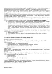 Lietuvos Didžiosios Kunigaikštystės (LDK) ankstyvoji istorija 13 puslapis