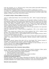 Lietuvos Didžiosios Kunigaikštystės (LDK) ankstyvoji istorija 15 puslapis