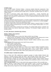 Lietuvos Didžiosios Kunigaikštystės (LDK) ankstyvoji istorija 17 puslapis