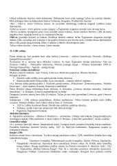 Lietuvos Didžiosios Kunigaikštystės (LDK) ankstyvoji istorija 18 puslapis