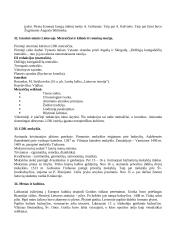 Lietuvos Didžiosios Kunigaikštystės (LDK) ankstyvoji istorija 19 puslapis