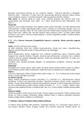 Lietuvos Didžiosios Kunigaikštystės (LDK) ankstyvoji istorija 3 puslapis