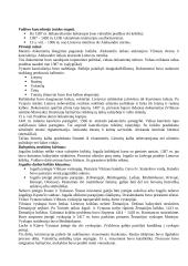 Lietuvos Didžiosios Kunigaikštystės (LDK) ankstyvoji istorija 6 puslapis