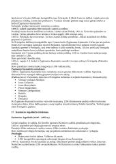 Lietuvos Didžiosios Kunigaikštystės (LDK) ankstyvoji istorija 9 puslapis