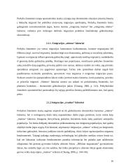 Prekyba žmonėmis kaip moderni vergovė: priežastys, formos ir pasekmės 9 puslapis