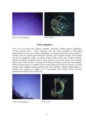 Įdomieji Zodiako žvaigždynai 3 puslapis