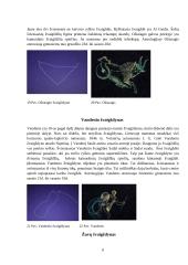 Įdomieji Zodiako žvaigždynai 7 puslapis