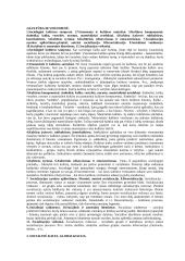 Sociologijos konspektas 2 puslapis